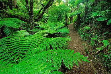 《漫威蜘蛛侠2》添加大量支线 为战衣添加战损效果