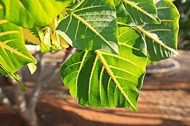 PS5架构师：游戏主机的未来在机器学习